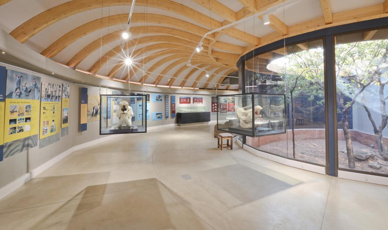 Anderssons At Ongava Βίλα Okaukuejo Εξωτερικό φωτογραφία